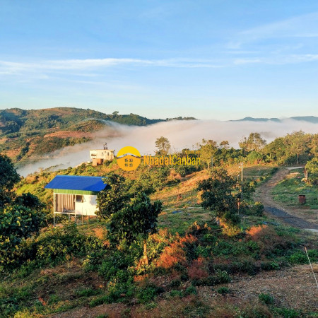 Bán khu nghỉ dưỡng 3.3ha tại đồi mây,xã tà hine, lâm đồng chỉ 7.2 tỷ tl