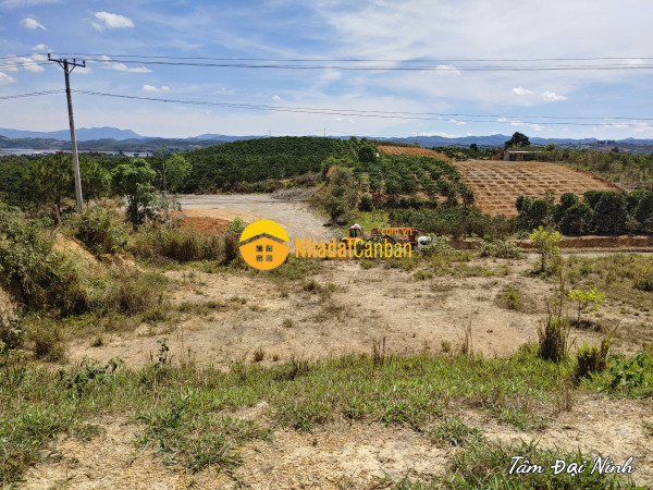 Bán đất mặt tiền ql 28b view hồ đại ninh 12m x 54m,200m thổ cư chỉ 3.7 tỷ tl