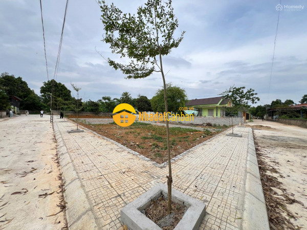 Bán 110m2 đất ngọc lặc ngay quốc lộ 15, cạnh khu du lịch sinh thái bàn bù, mt 10m, nhỉnh 2 triệum2